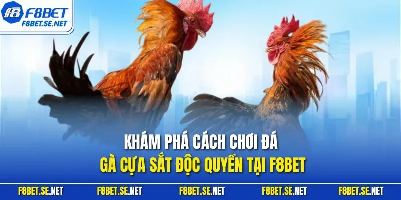 Khám phá cách chơi đá gà cựa sắt độc quyền tại F8BET
