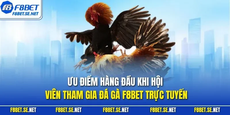 Ưu điểm hàng đầu khi hội viên tham gia đá gà F8BET trực tuyến